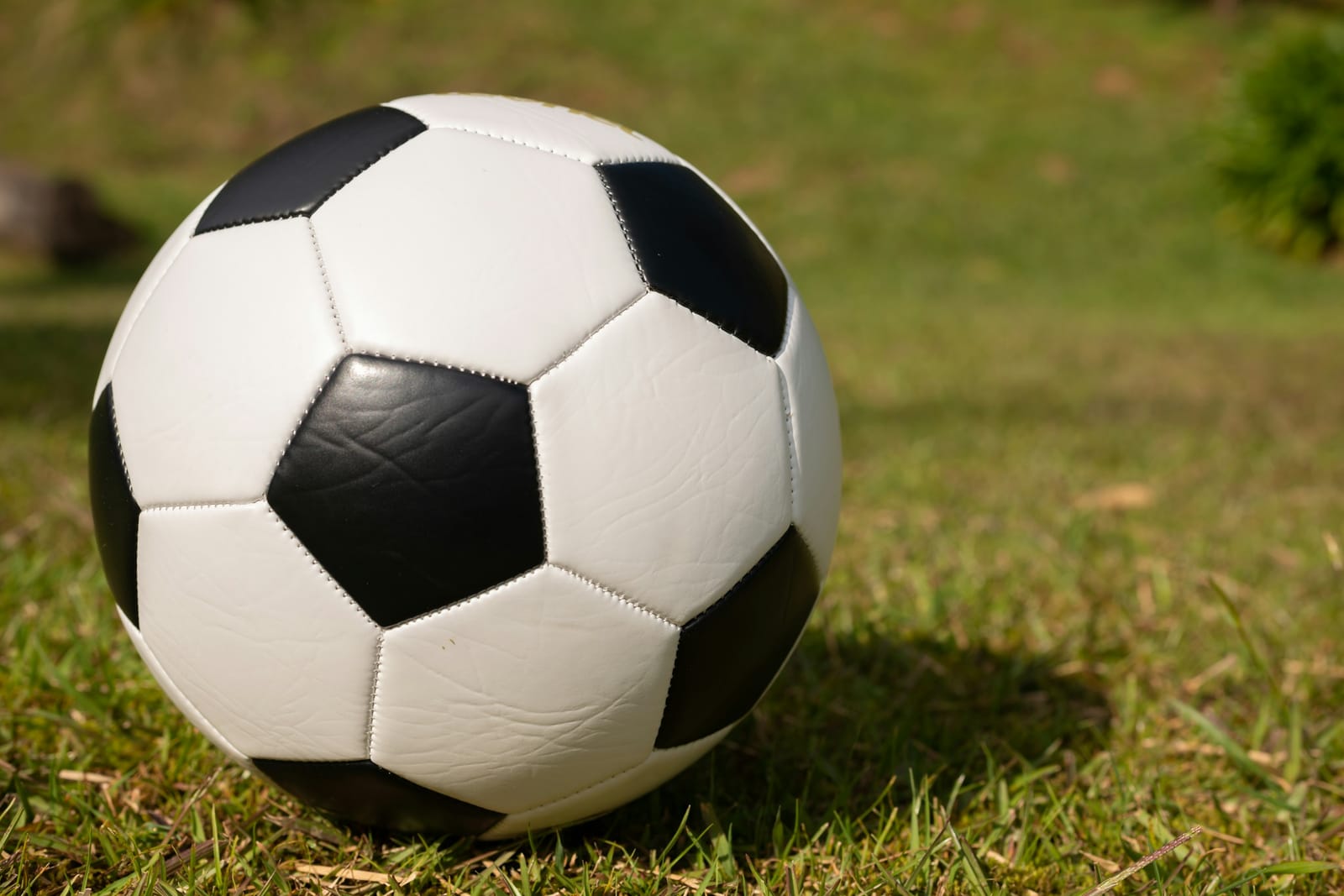 A football on grass
