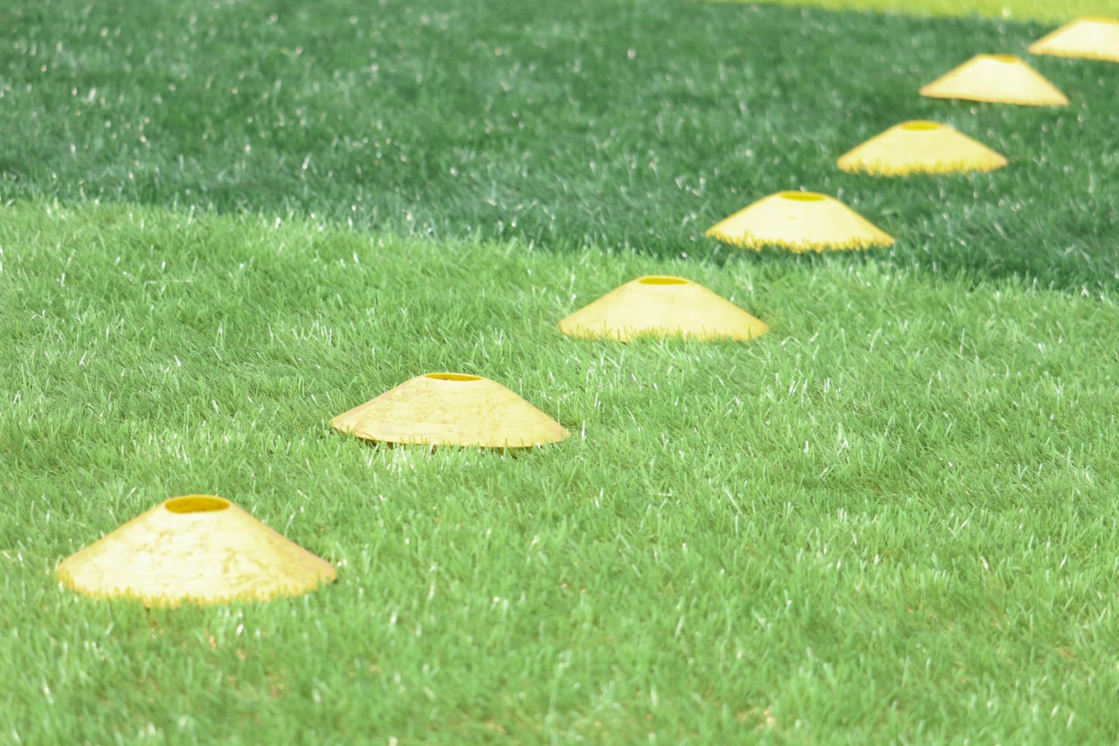 A row of yellow training cones on grass